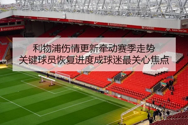 利物浦伤情更新牵动赛季走势 关键球员恢复进度成球迷最关心焦点 - 相关报道缩略图